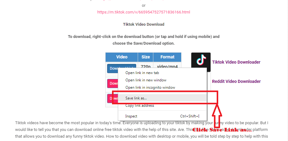 Pinterest Downloader